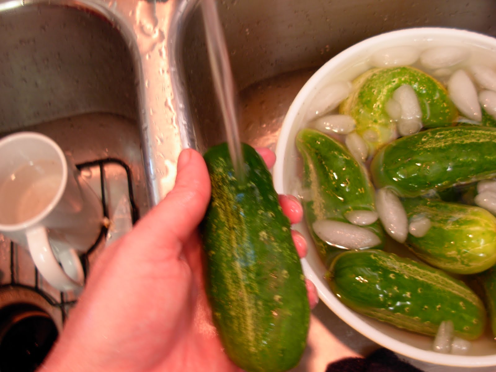 My Simple Country Living Sour Dill Pickles the Old Fashioned Way