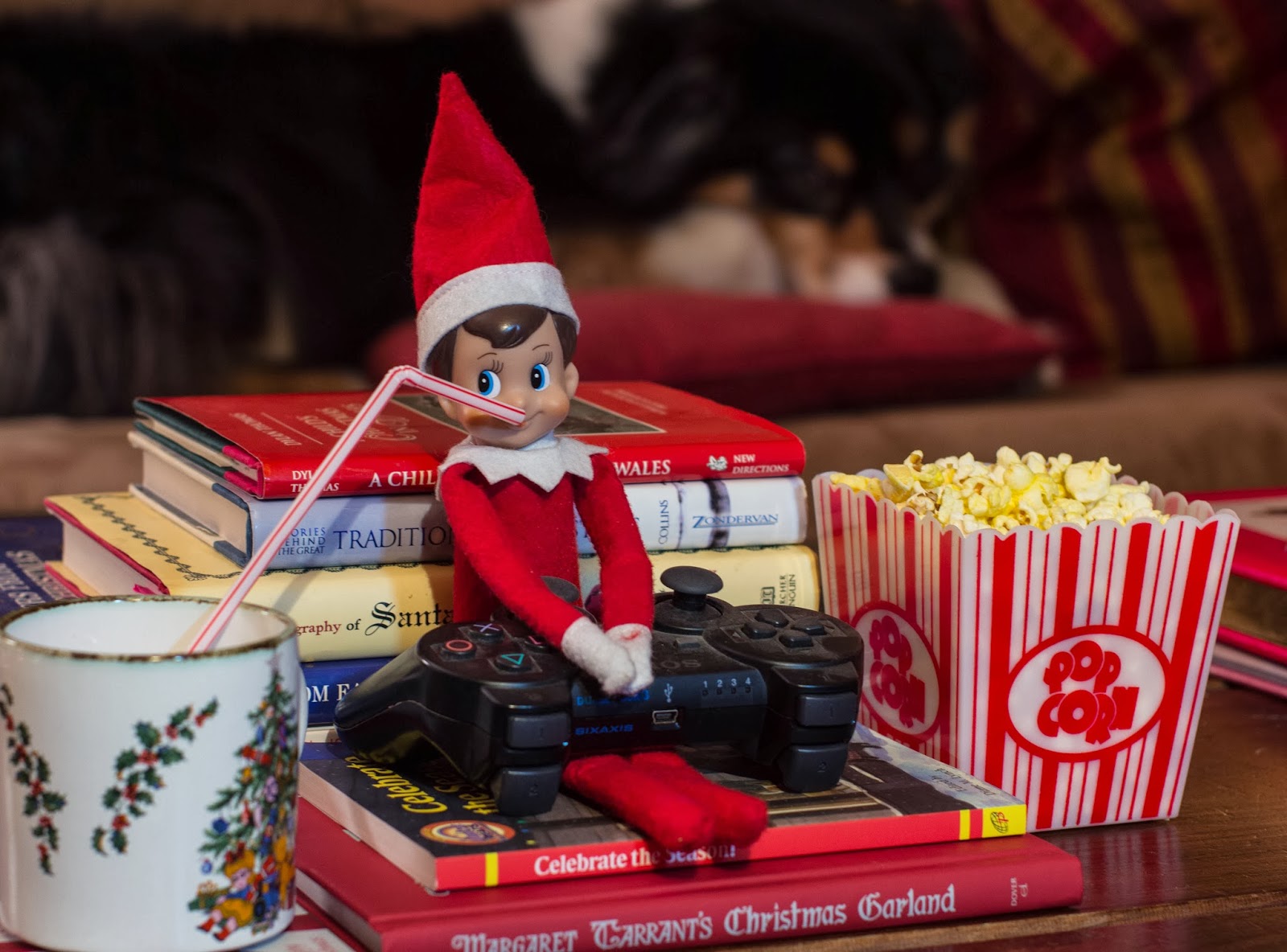 The Fun of Outdoor Movies Documenting Jackie the House Elf Elf on