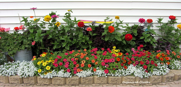 yard of flowers garden tour 2013