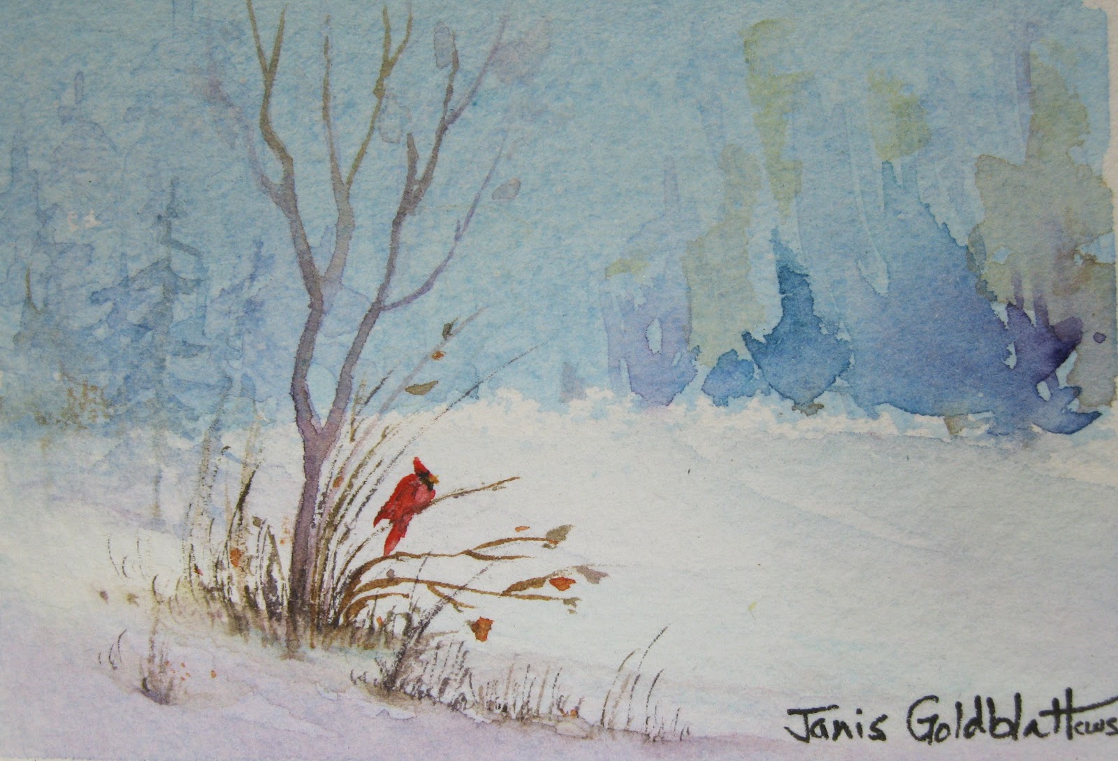 Janis Goldblatt S Art Blog Winter Scene With Cardinal