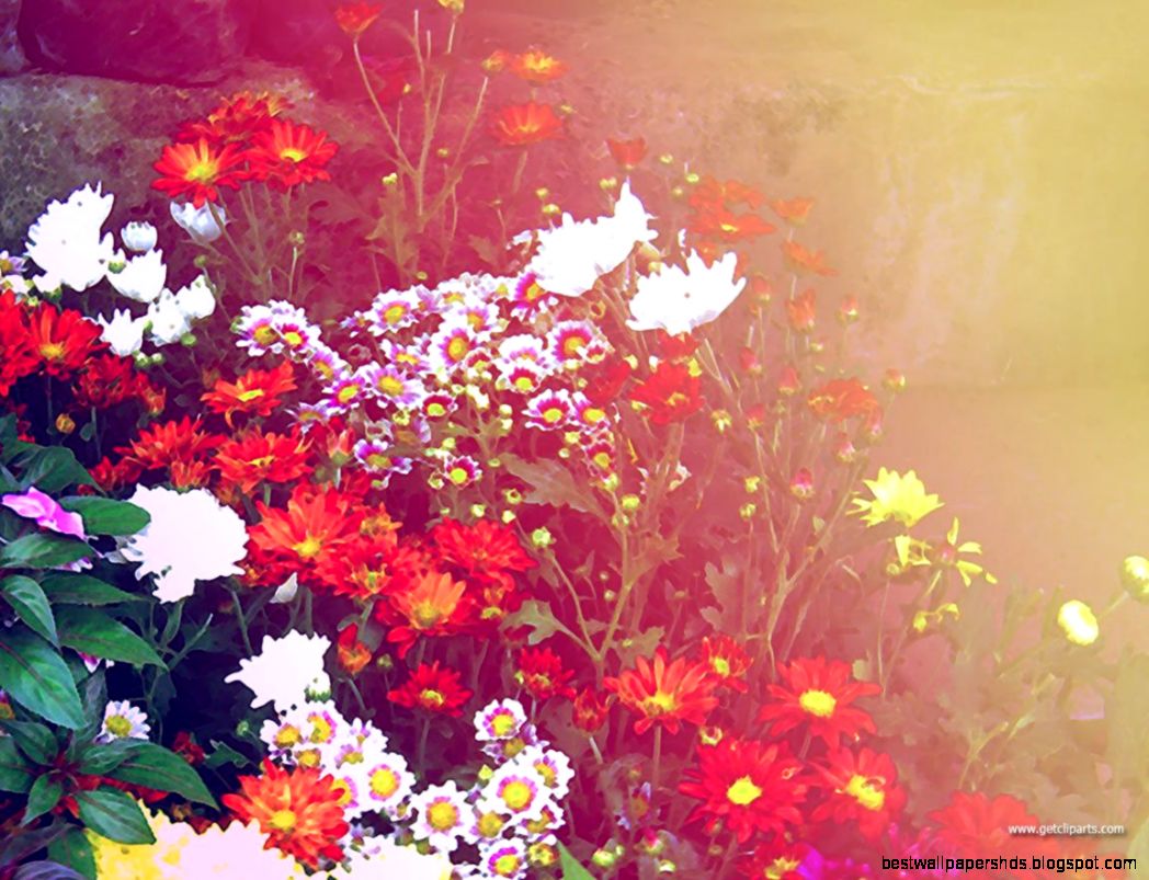 Pretty Wallpapers For Computer Wallpaper Cave Pretty Wallpapers For Computer Wallpaper Cave