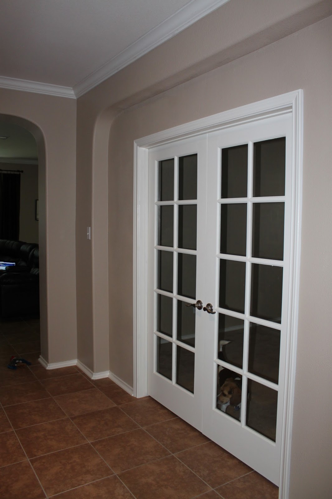 Learning to be a Rebel...or at least how to use one New doors!