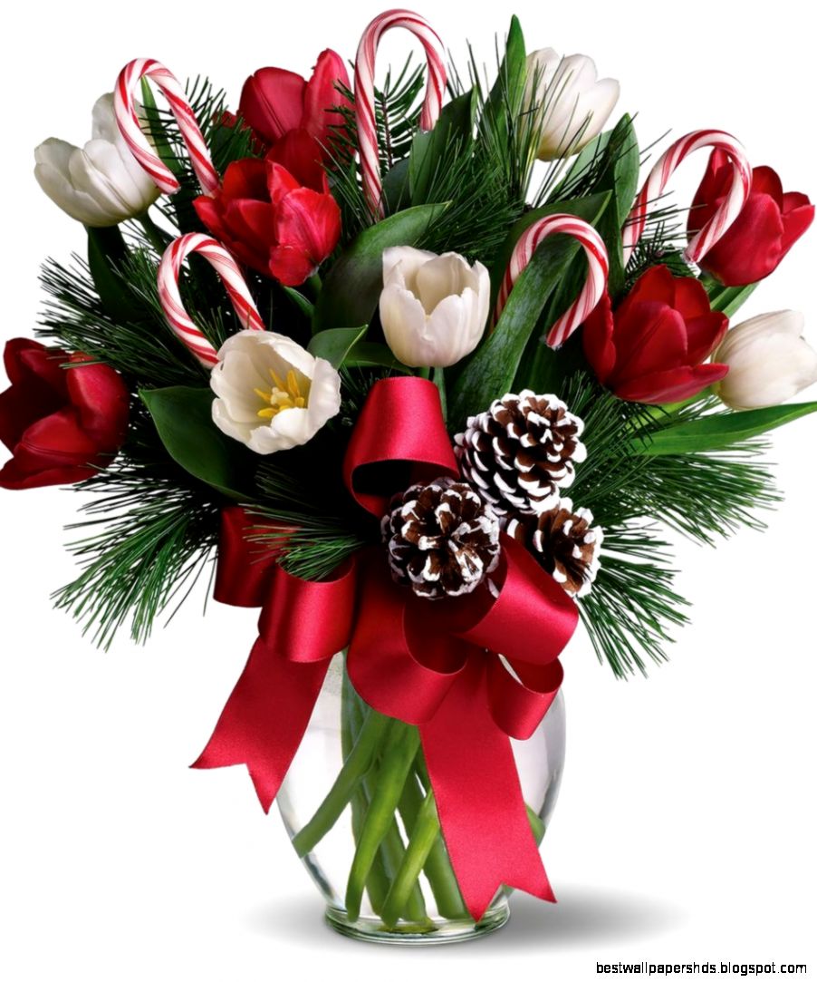 Beautiful Christmas Unique Arrangement Flower Arrangement Ideas Beautiful Christmas Unique Arrangement Flower Arrangement Ideas