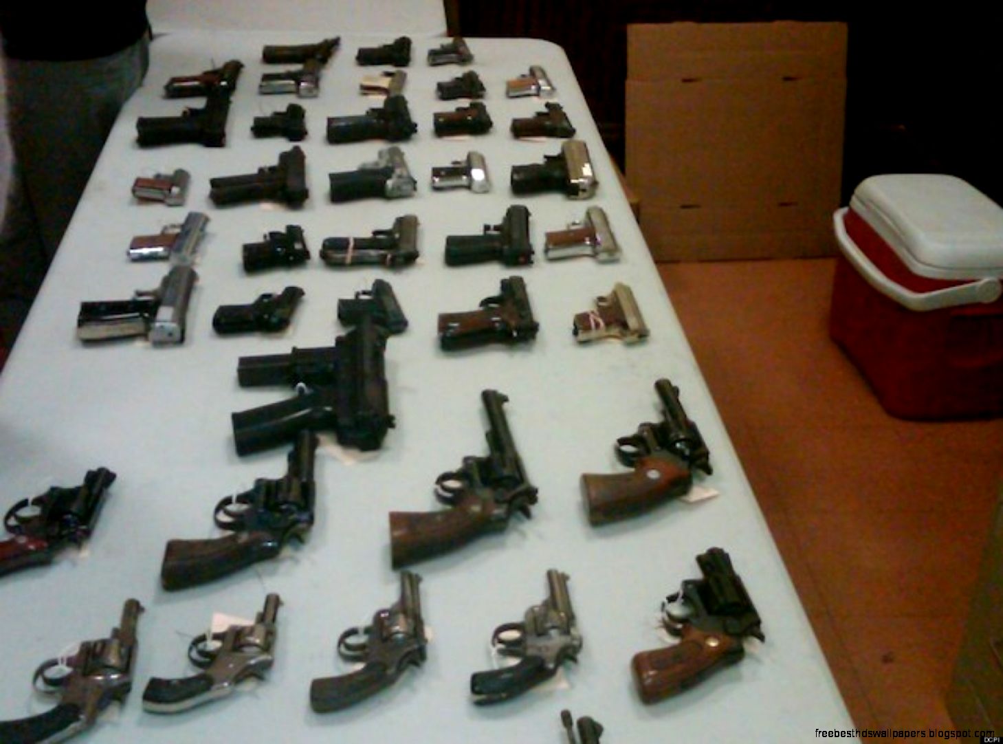 Funny Fat Cat with Gun Funny Fat Cat with Gun