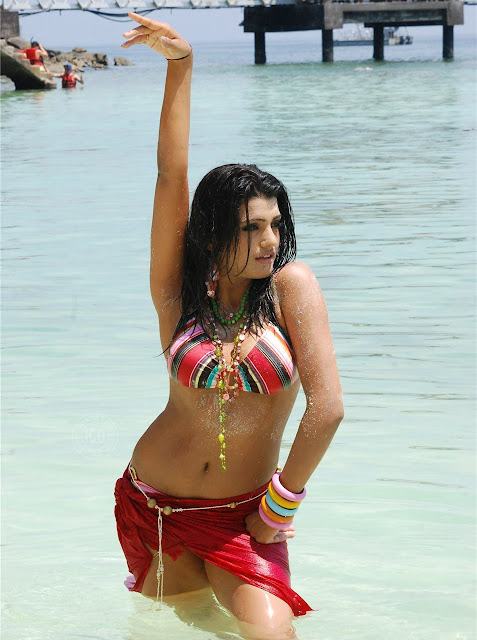 Actress Tashu Kaushik Navel Show Photos