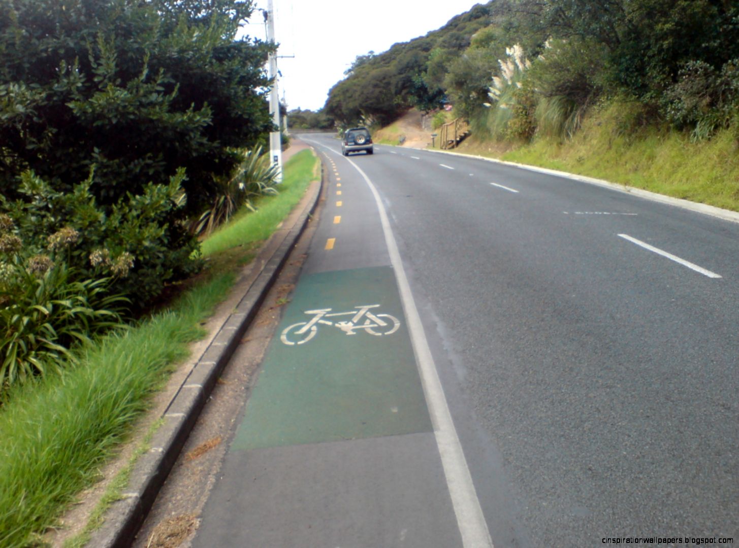 FileCycle Lane On Waiheke Island Road Wikimedia Commons FileCycle Lane On Waiheke Island Road Wikimedia Commons