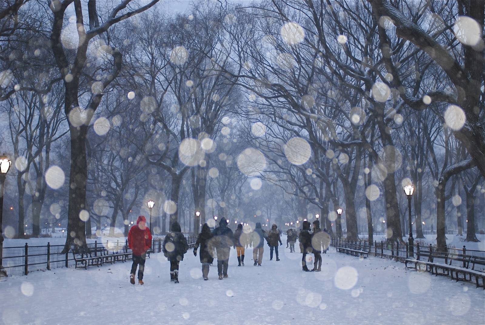 NYC ♥ NYC Snowy Central Park