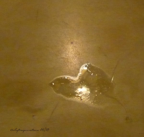 wet spot tube
