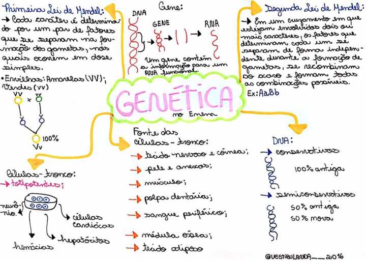 Biologia genética resumo