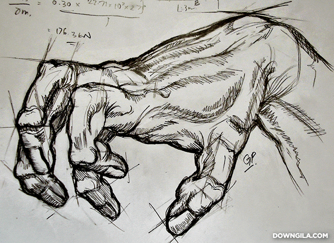 drawing of hand sketch downgila anatomy