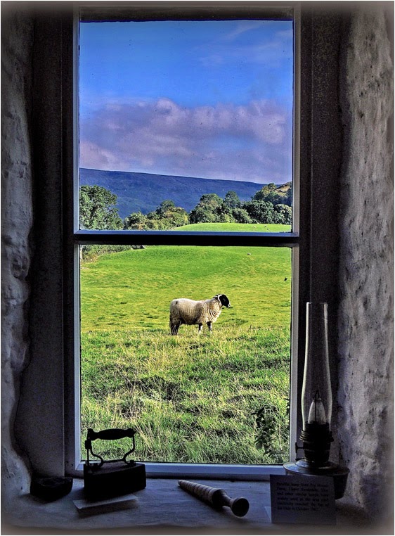 emphoka, photo of the day, TWIZ, Nikon Coolpix P510 emphoka, photo of the day, TWIZ, Nikon Coolpix P510