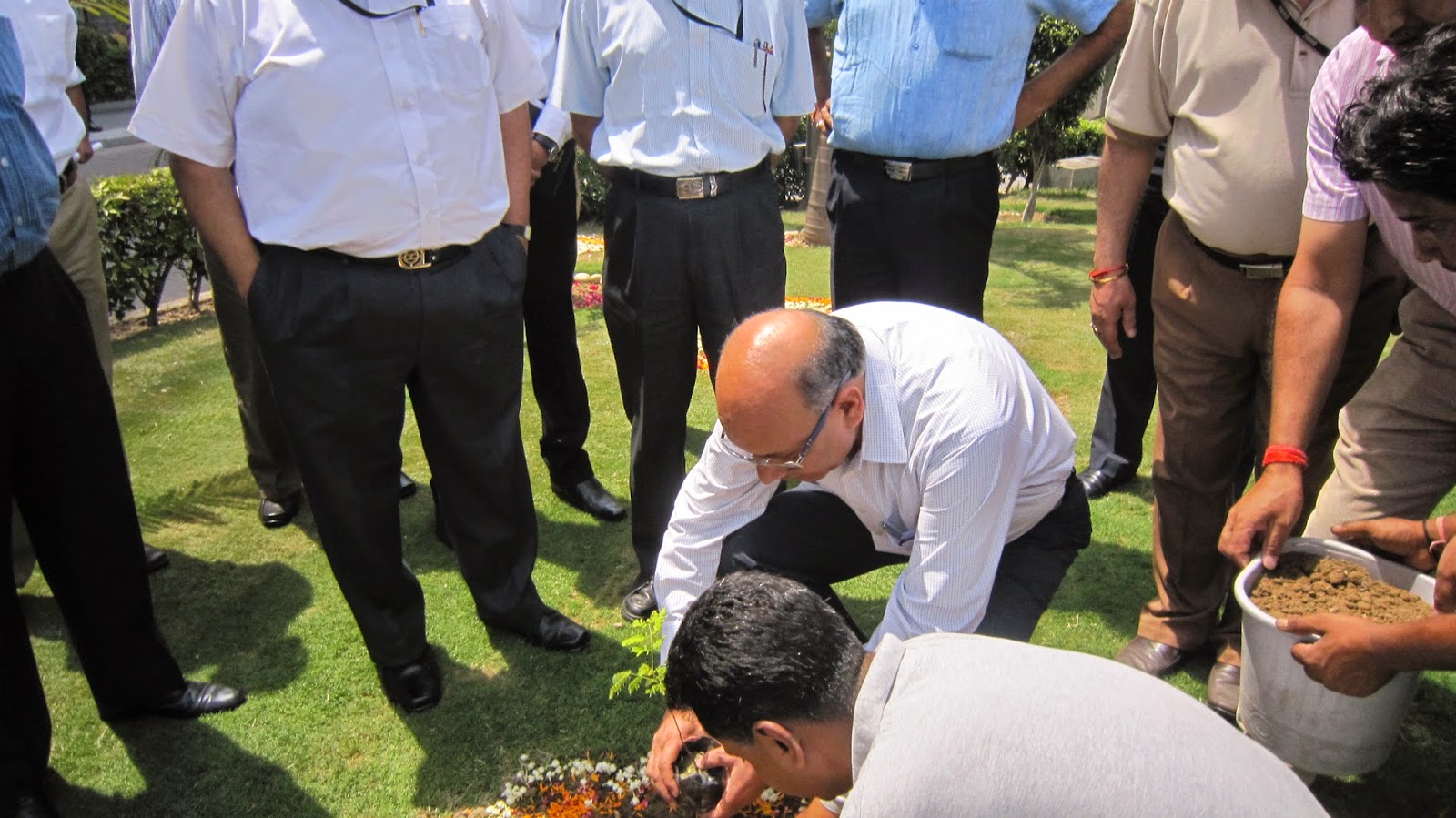 Delhi Metro Tree Planting on World Environment Day 2014 Mr Mangu SIngh Delhi Metro planting a sandalwood trees