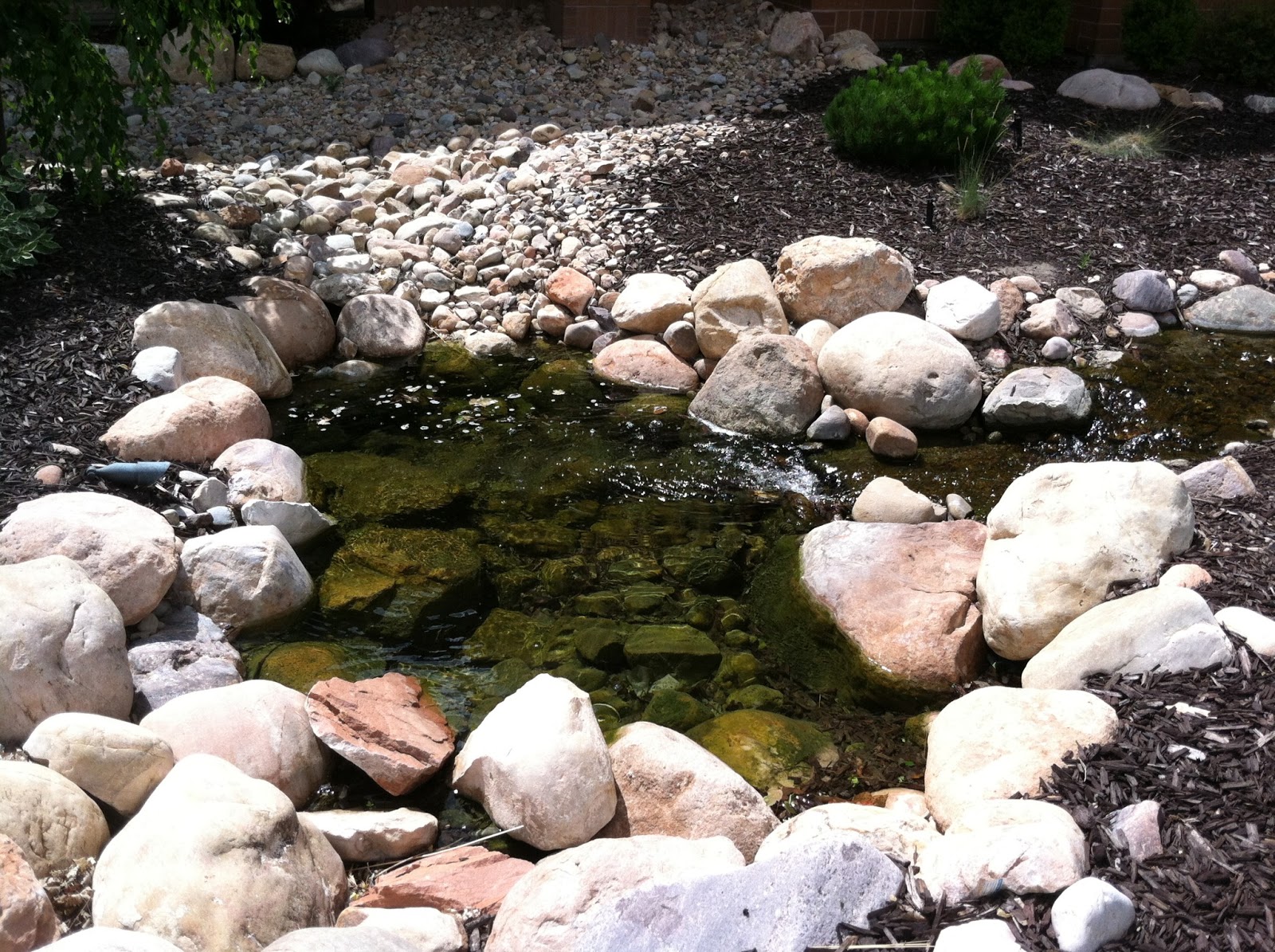 Grow How Utah water restrictions and what to do about them