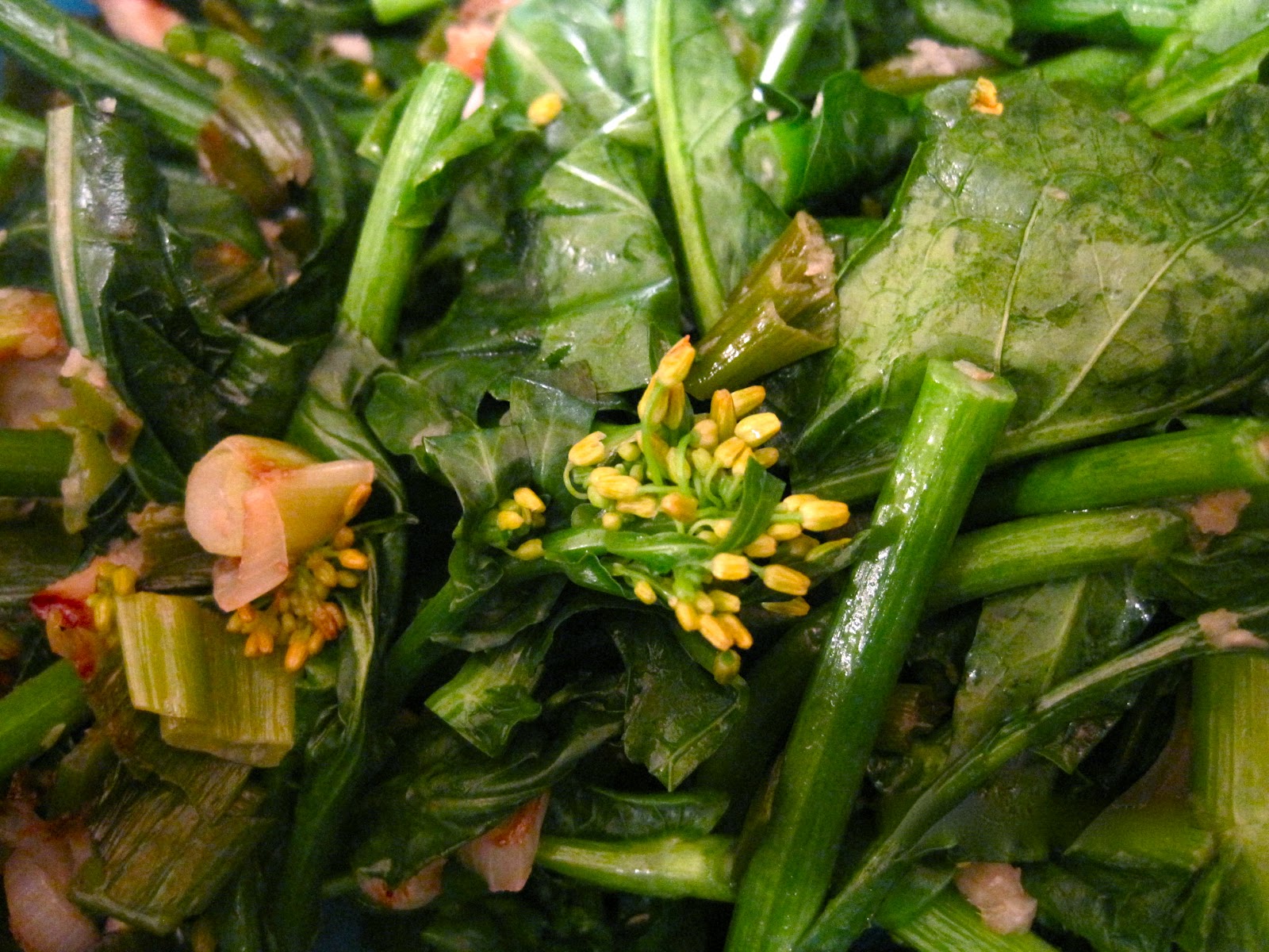 Kvell in the Kitchen Sichuan Tofu and Broccoli Rabe with Garlic Sauce