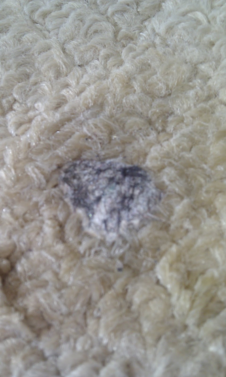 Mrs H the blog How to get chewing gum out of carpets