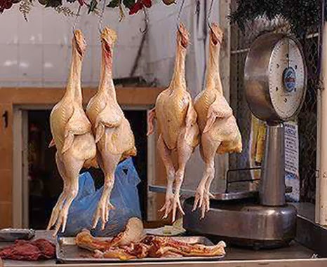 chickens-dont-come-home-to-roost.jpg