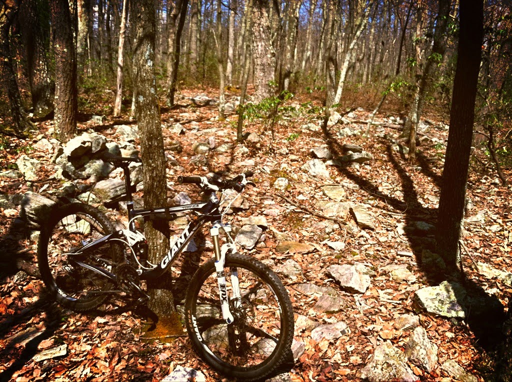 michaux state forest mountain biking