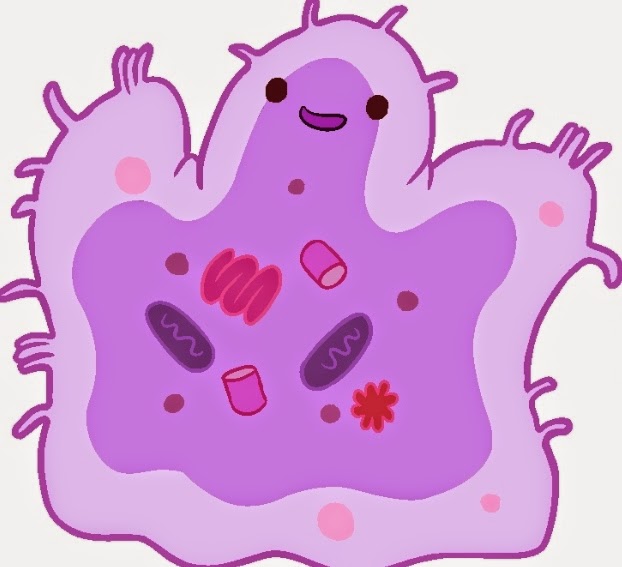 The Year of the Amoeba