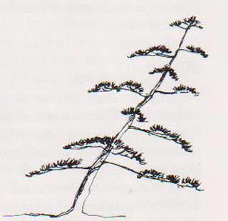 slanting upright bonsai style