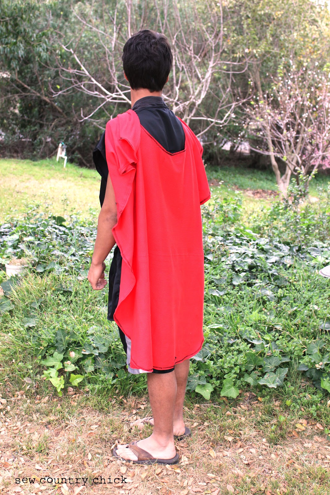 Roman Cloak