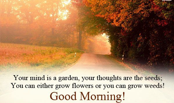 Image result for good morning quotes gardens