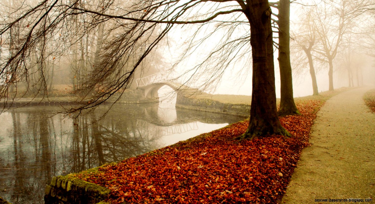 Autumn HD Widescreen Wallpaper WallpaperSafari Autumn HD Widescreen Wallpaper WallpaperSafari