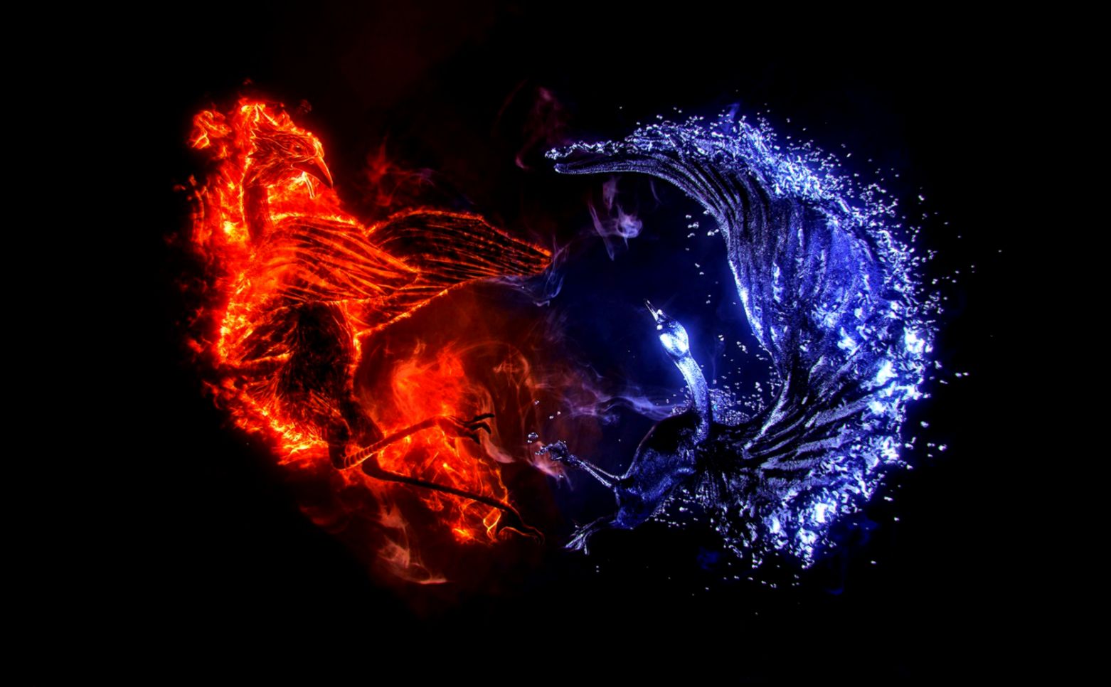 Fire and Water Bird Fire and Water Bird