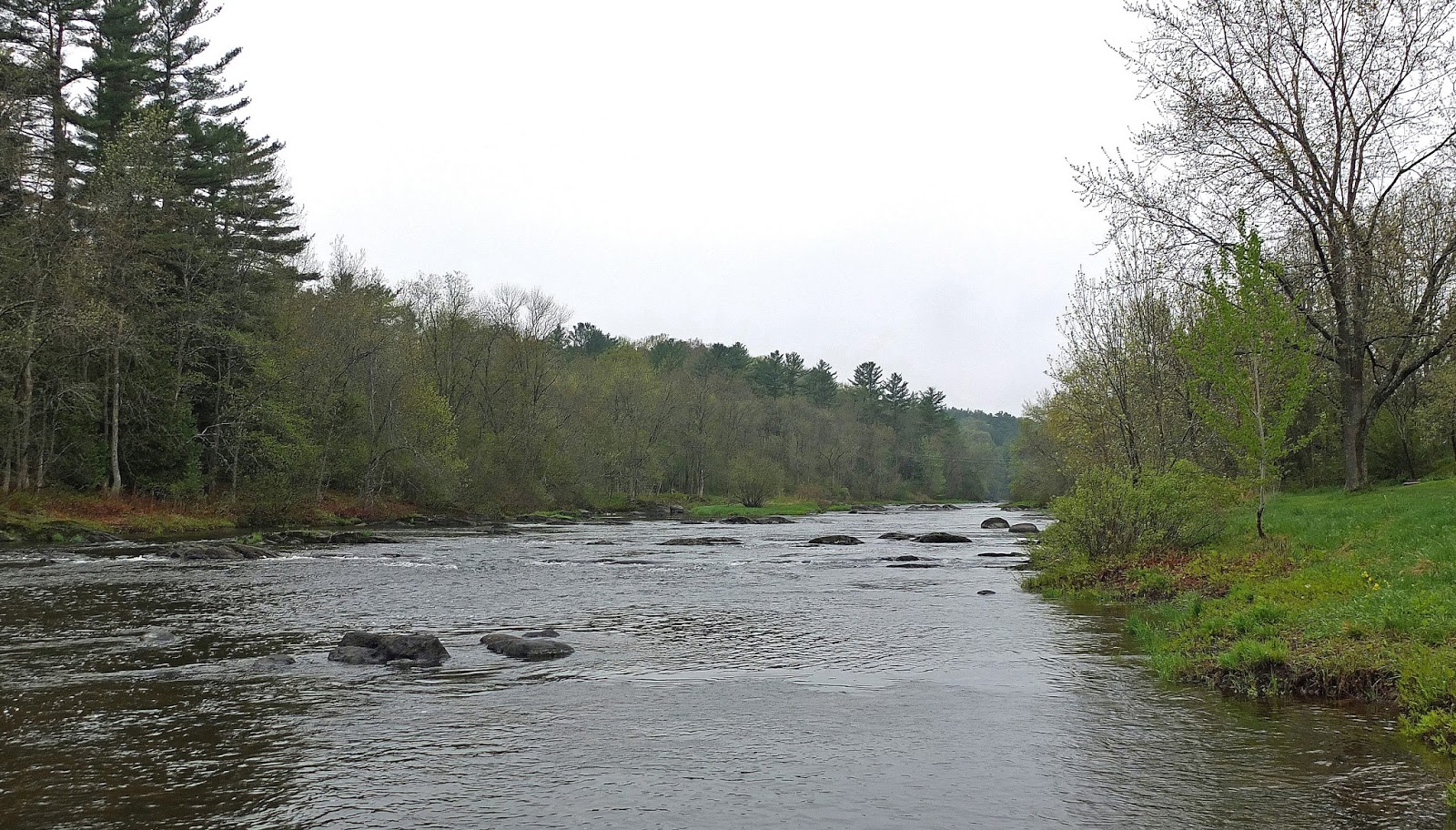 Hiking in Maine with Kelley 5/12/13 Kenduskeag Stream Trail