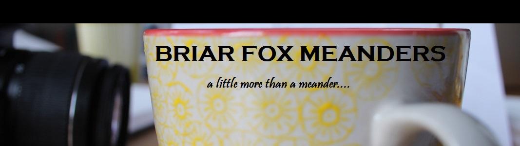 Briar Fox Meanders