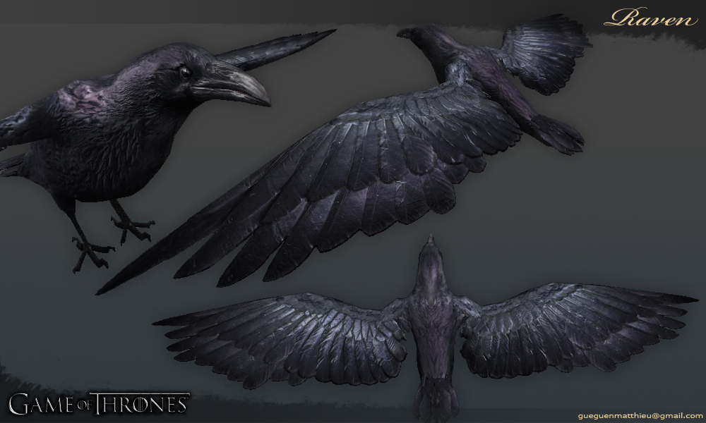 RavenPrez.jpg