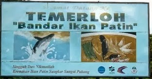 TEMERLOH BANDAR IKAN PATIN