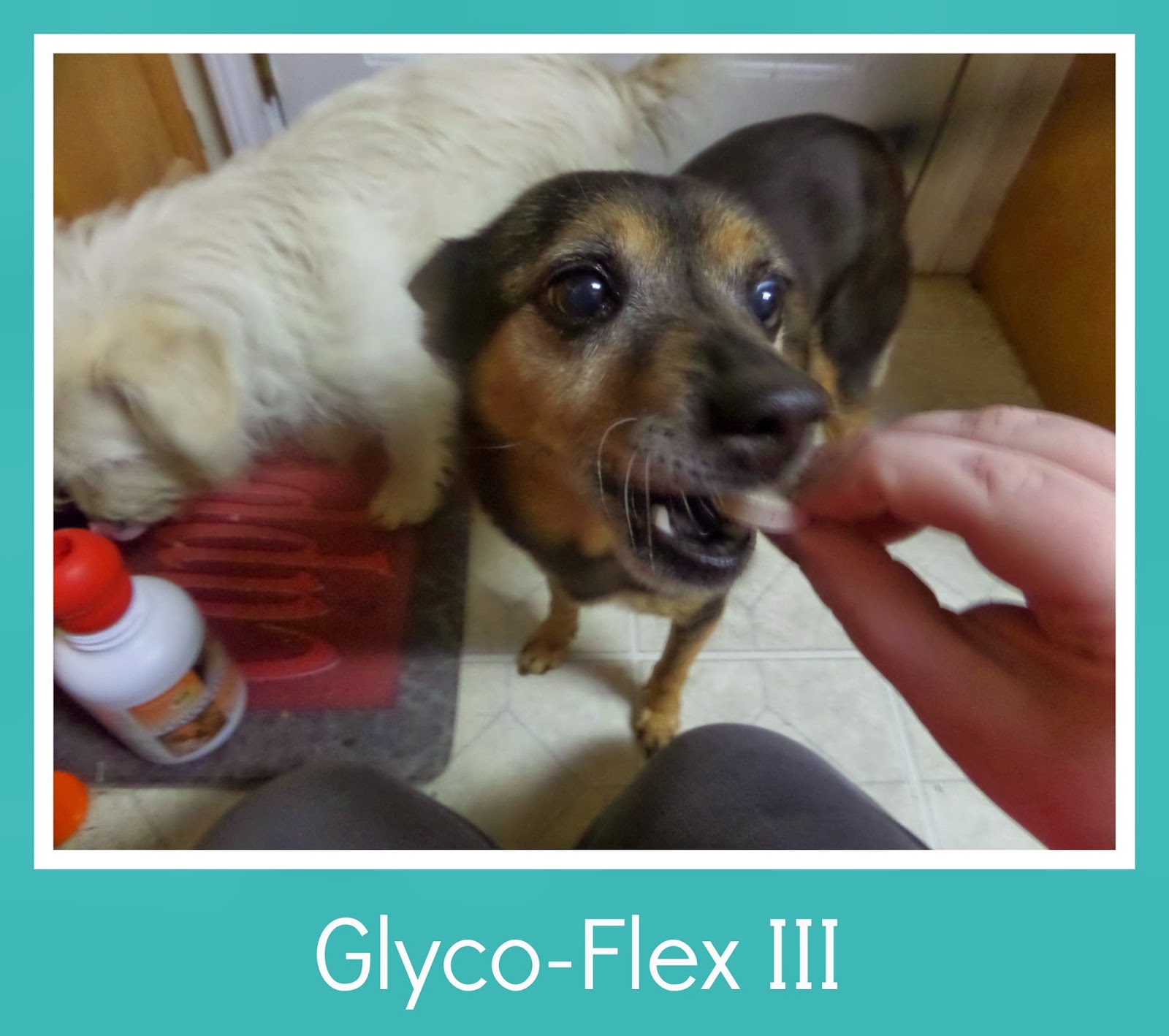 Glyco-Flex I,II, and III Review and Giveaway