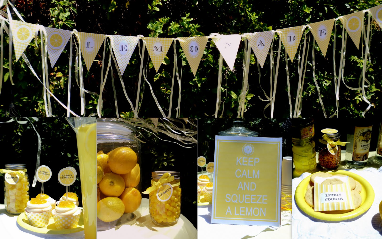 A Voice For My Children Lemonade Stand Kit Giveaway!!!!!!