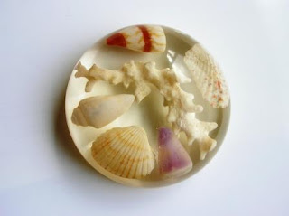 Seashell and coral paperweight
