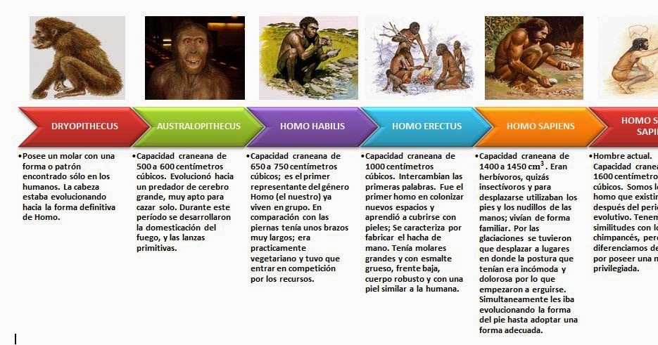 Ms - significado de ms diccionario