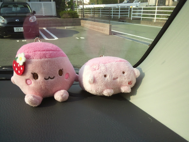 Random Stuff - Cute Stuffed Animals, Hello Kitty Pasta, and More