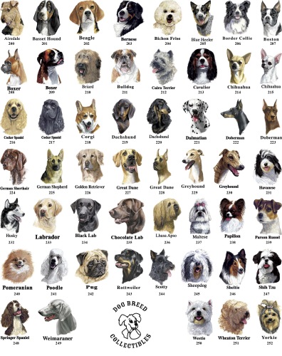 All+dog+breeds+pictures