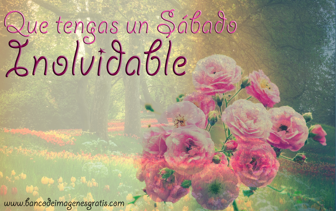 Image result for TAREA DEL SABADO