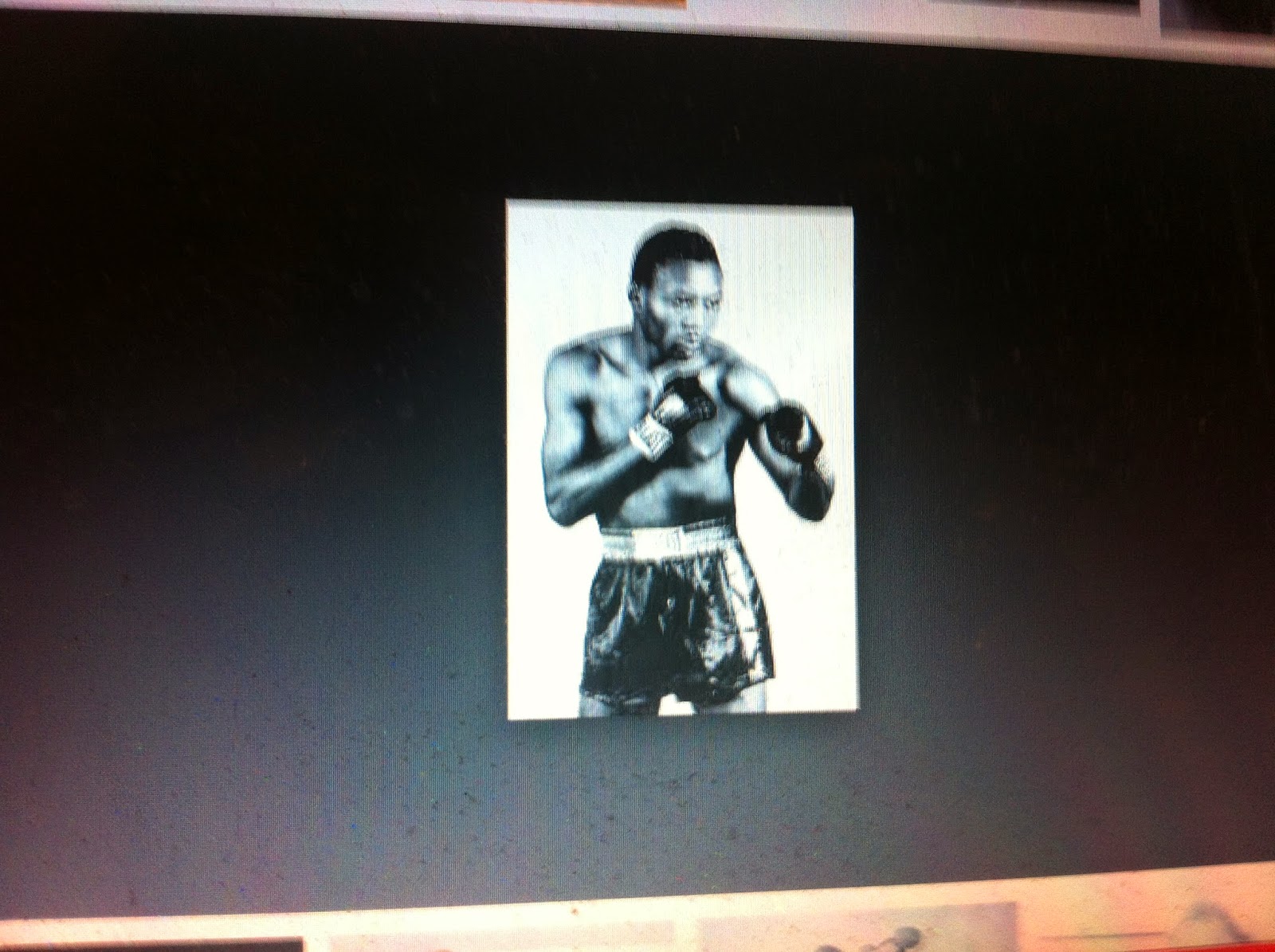 THE BLACK SOCIAL HISTORY BLACK SOCIAL HISTORY AFROCANADIAN