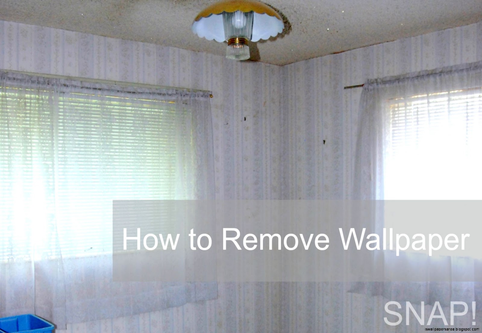 How To Remove Wallpaper Glue Wallpapers Area
