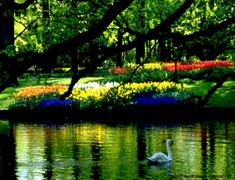 Spring Wallpapers on Pinterest Wallpapers Spring and Desktop Spring Wallpapers on Pinterest Wallpapers Spring and Desktop