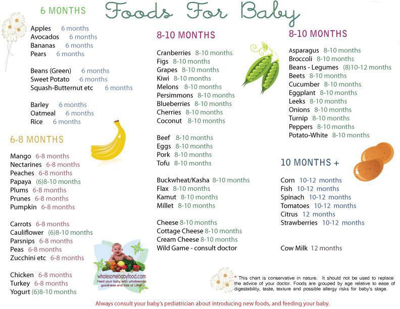 16 Month Old Meal Schedule For Diet
