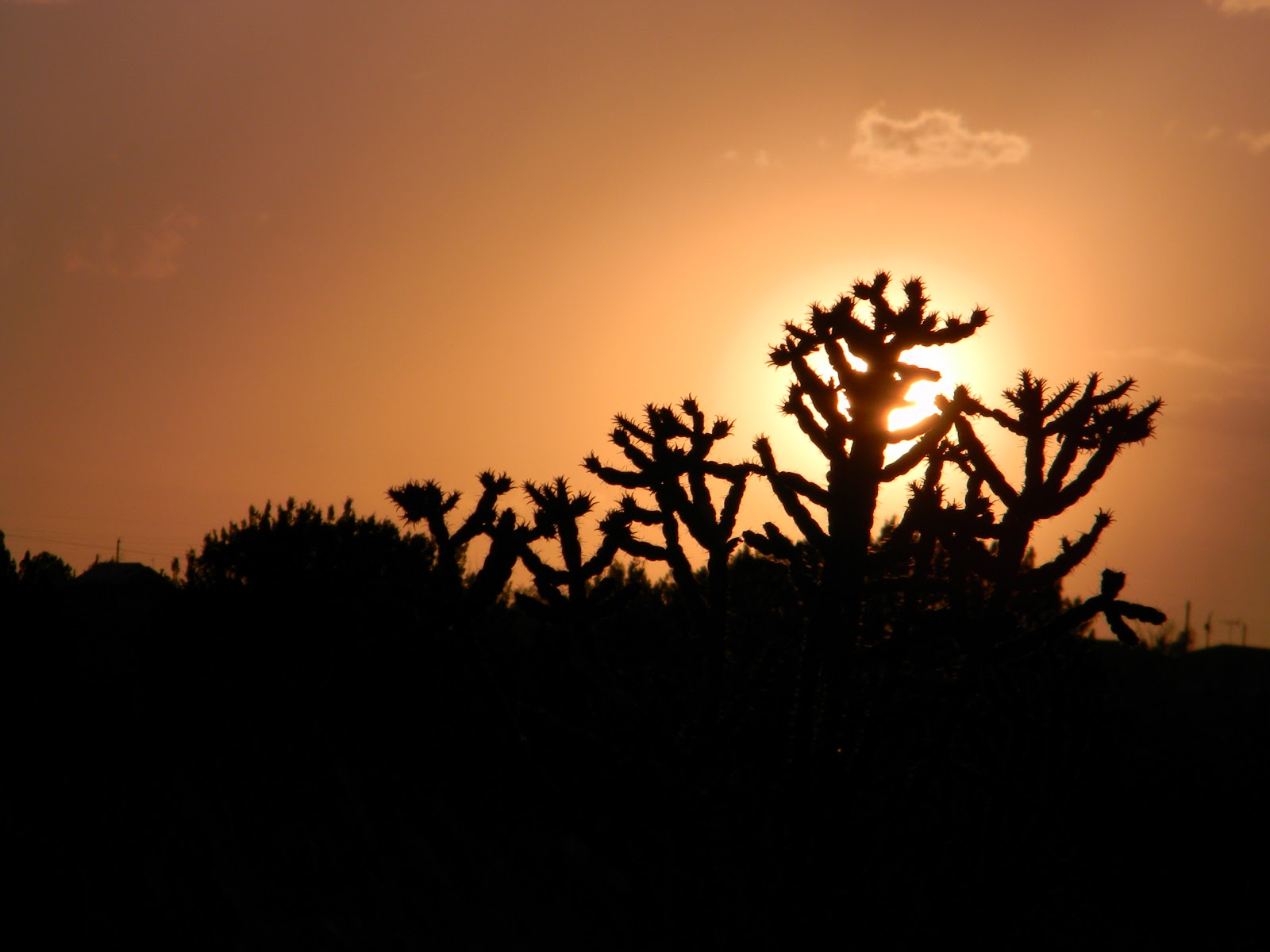 RVFulltimingLove Fort Sumner Lake State Campground, New Mexico