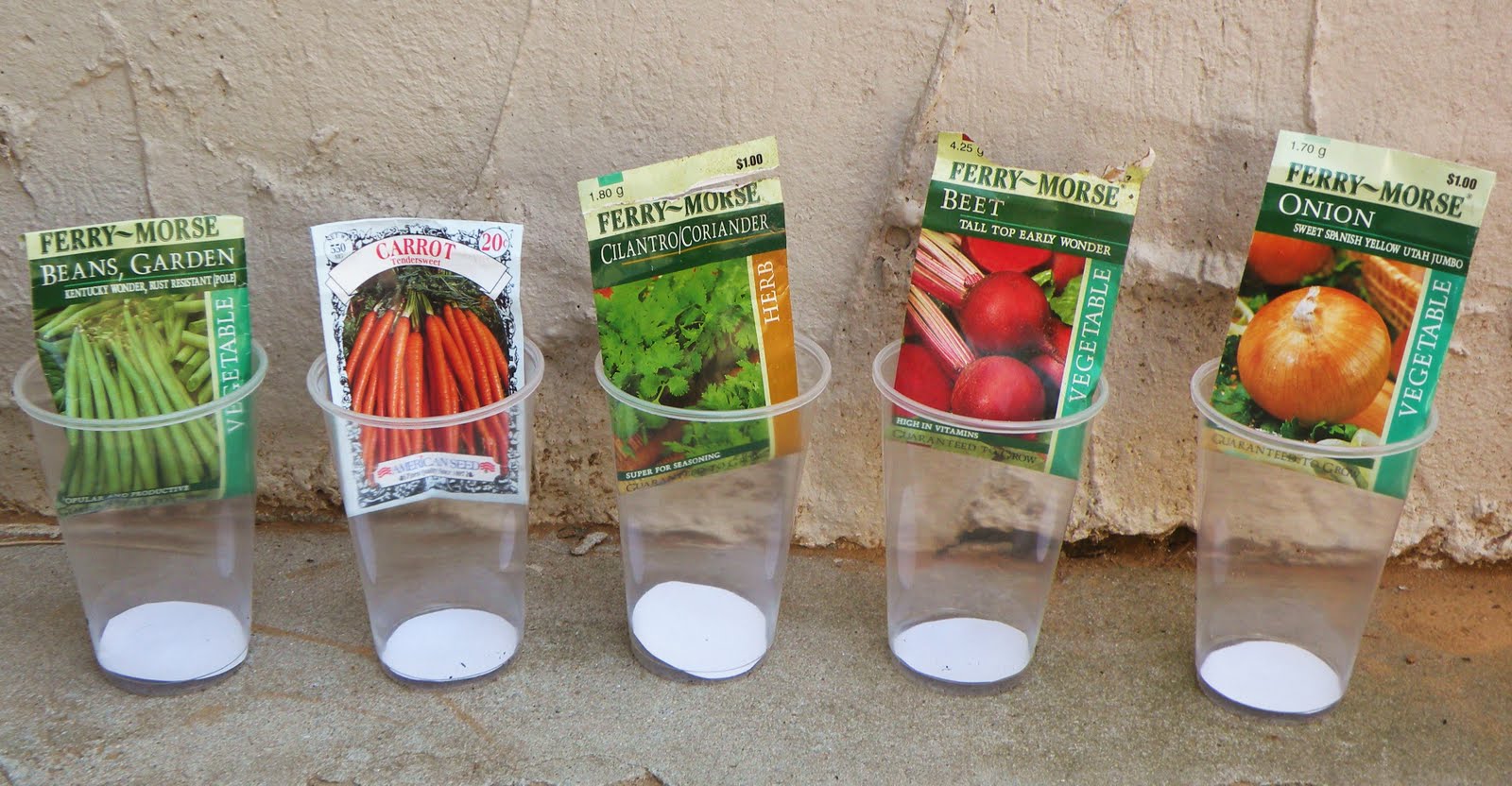 Seed Sorting Share Remember Celebrating Child Home vrogue.co