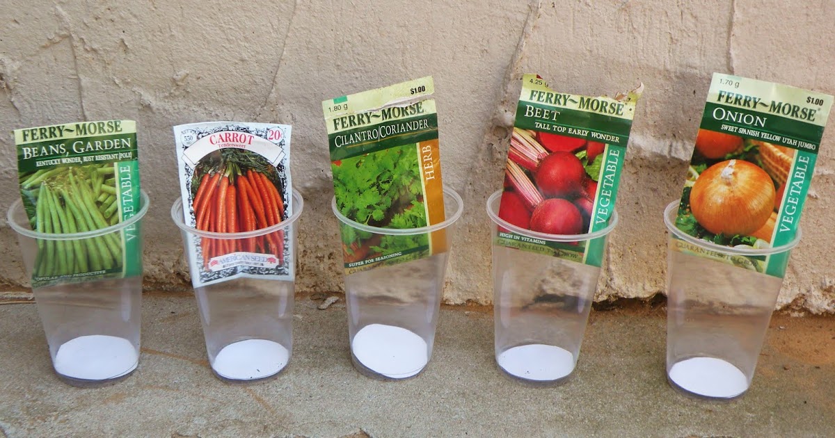 Toddler Approved!: Seed Sorting and Identification