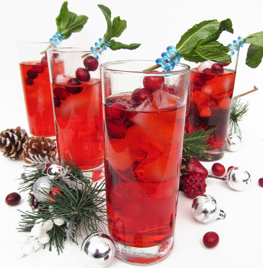 cranberry gin fizz cocktails