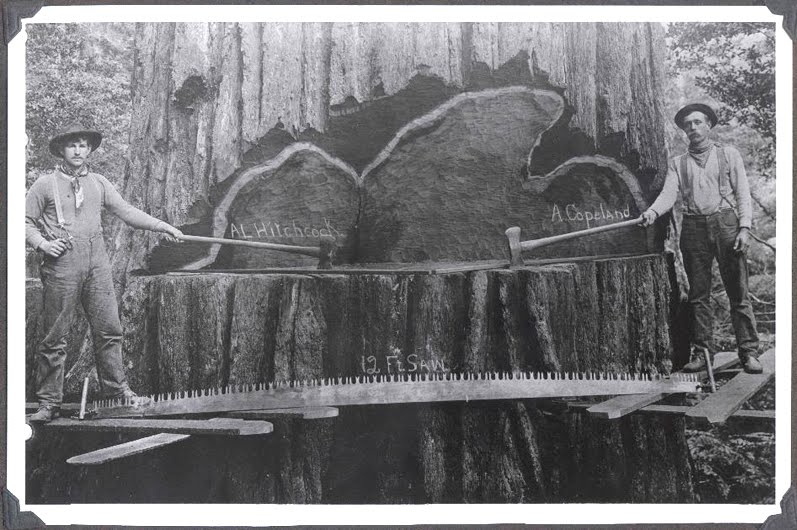 Notes From A Doormaker Where Does the Salvaged Lumber and Green