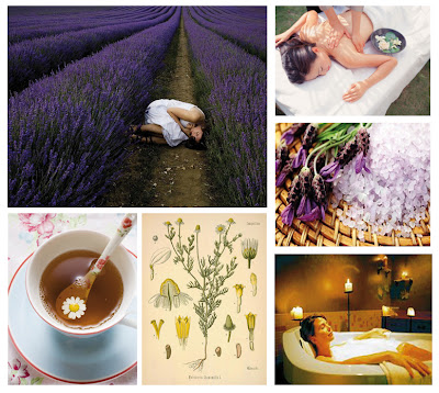 image of inspiration board lavender chamomile