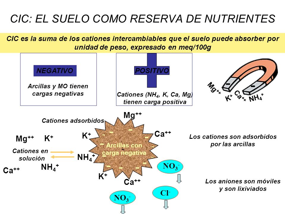 FUNDAMENTOS DE LA CIENCIA octubre 2015
