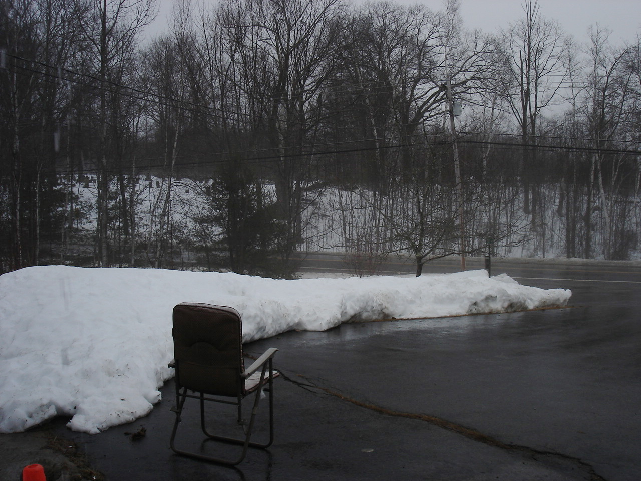 Park Hill Farm Foggy Bottom Blues